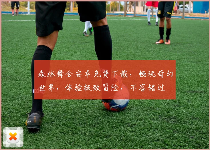 森林舞会安卓免费下载，畅玩奇幻世界，体验极致冒险，不容错过