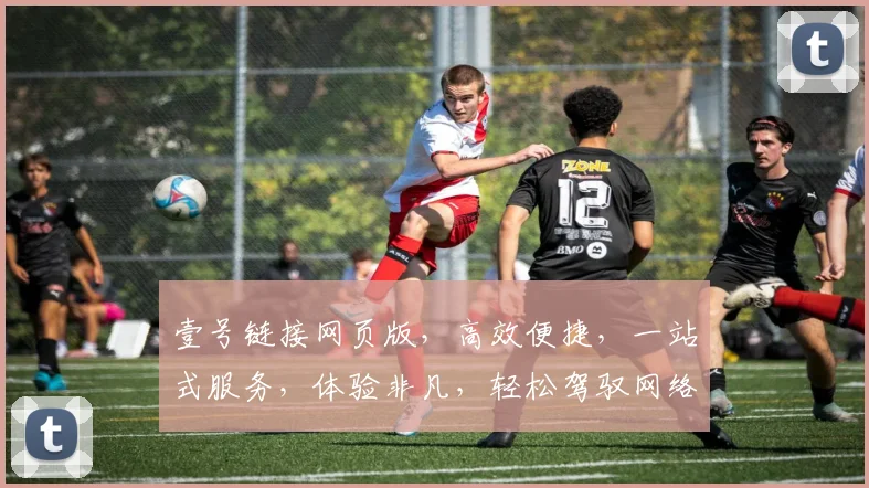 壹号链接网页版，高效便捷，一站式服务，体验非凡，轻松驾驭网络世界，助力成功
