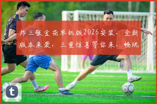 炸三张金花单机版2026安装，全新版本来袭，三重惊喜等你来，畅玩无忧