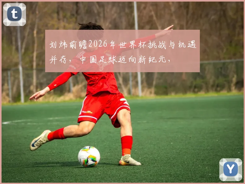 刘炜前瞻2026年世界杯挑战与机遇并存，中国足球迈向新纪元，